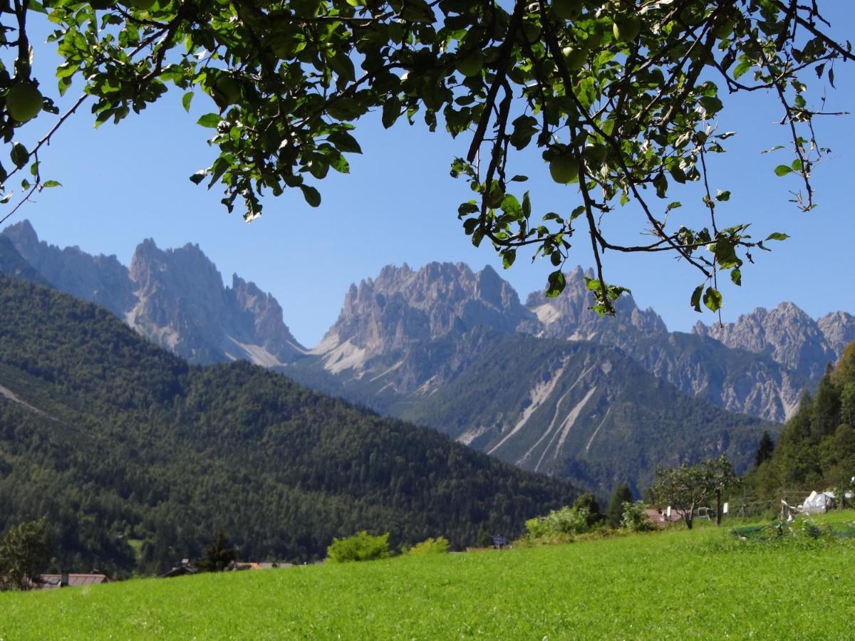 Residence Dolomiti Форни ди Сопра Екстериор снимка