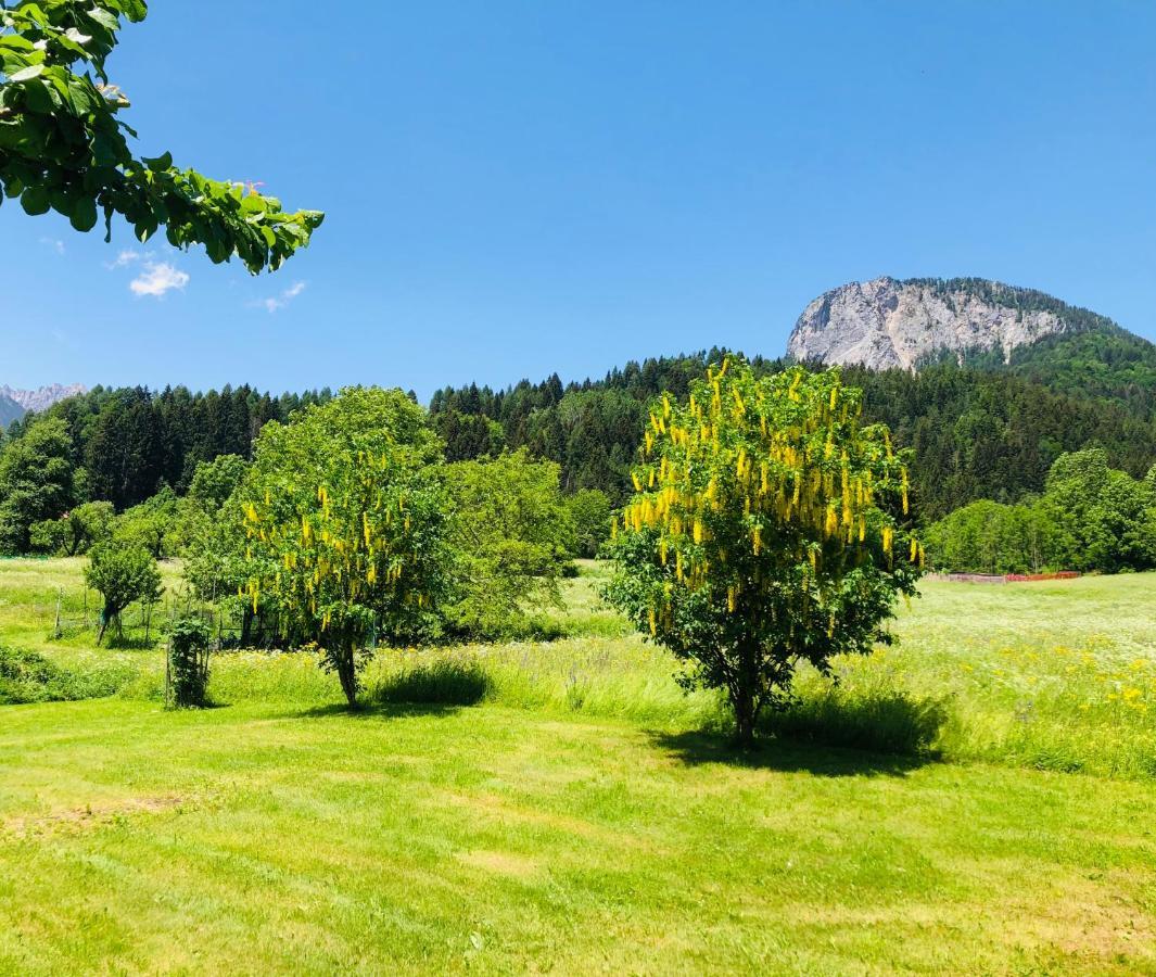 Residence Dolomiti Форни ди Сопра Екстериор снимка